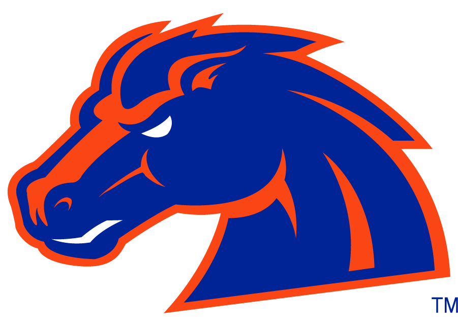 Boise State Broncos 2002-2012 Secondary Logo v5 iron on transfers for clothing